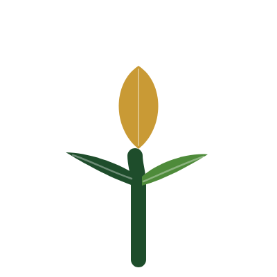 Flourish Project PH Logo